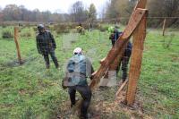 OM04_Baum17_0153.JPG