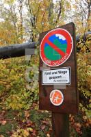 OM04_Wald02_0180.JPG