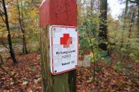 OM04_Wald03_0187.JPG
