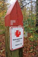OM04_Wald04_0191.JPG