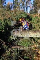 OM05_Wald28_0116.JPG