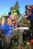 OM05_Wald33_0109.JPG