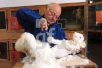 OM12_Angora11_0116.JPG