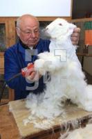 OM12_Angora14_0169.JPG
