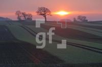 PD04_Guelle05_0130.JPG