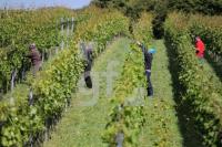 PI02_Wein_0104.jpg