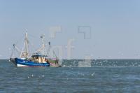 PI10_Pell15_1354.jpg
