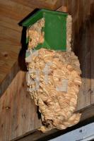 PK17_Ho01_0900.jpg