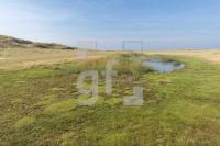 PL04_Sylt36_1347.jpg