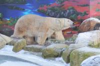 QD04_Kap_0125.JPG