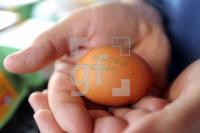 QD18_Huhn15_0121.JPG