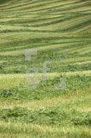 QG01_Gr02_0105.JPG