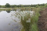 QI13_Wd02_1300.jpg