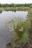 QI13_Wd03_1300.jpg