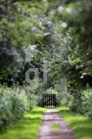 QI15_Sl27_0133.JPG