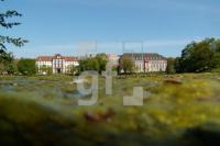RG13_Al02_0900.jpg