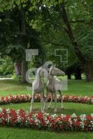 RI19_Ru02_0735.jpg