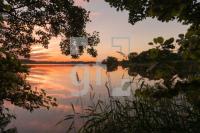 RI20_Bs02_1300.jpg