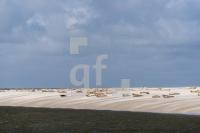 SH16_Watt01_1300.jpg