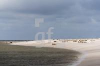 SH16_Watt02_1300.jpg