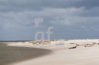 SH16_Watt03_1300.jpg