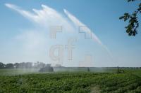 TG29_Ru01_0711.jpg
