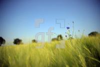 TG31_Fe03_0121.JPG