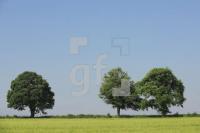 TG31_Fe05_0150.JPG