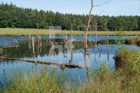 TH06_Ru01_0766.jpg