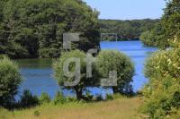 TH06_Vie_0103.JPG