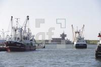 TK19_Bu08_0164.JPG