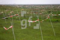 UG31_La07_0139.JPG