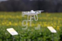 WF27_Ra07_0149.JPG