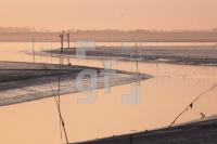 YK27_Wa08_0125.JPG