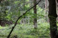 YL03_DM03_0114.JPG