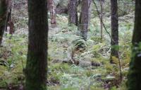 YL03_DM06_0127.JPG