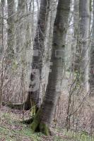 ZAE18_Es04_0129.JPG