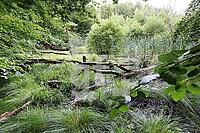 ZAI03_Wa_0133.JPG