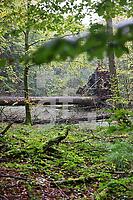 ZAL08_Wa_012213.JPG
