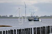 ZAL30_Ns_012114.JPG