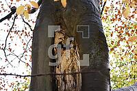 ZAM13_Ba_012142.JPG
