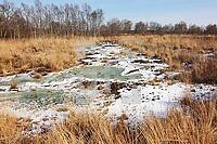 ZBD20_Mo_0110238.JPG