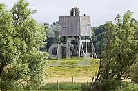 ZCI22_Ei_0110528.JPG
