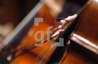 FJ19_SHMF01_0785.jpg