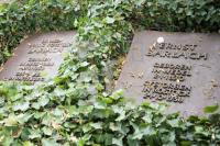 HI29_Ratzeburg16_1377.jpg