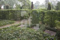 HI29_Ratzeburg21_1377.jpg