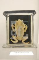 KM16_Museum03_0182.JPG