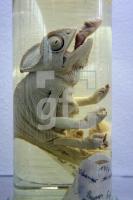 KM16_Museum05_0186.JPG