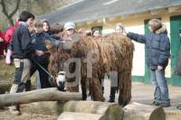 LE30_Warder05_0117.JPG