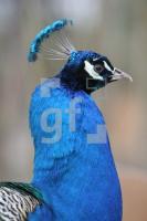 LE30_Warder08_0199.JPG
